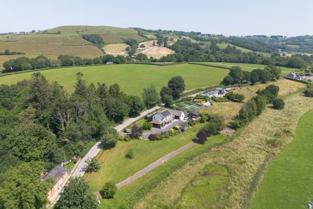 Ffynnon Morgan, Talsarn, Lampeter photo 5