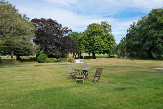 62d01Dd011788_Tm---Garden--Dji_0969