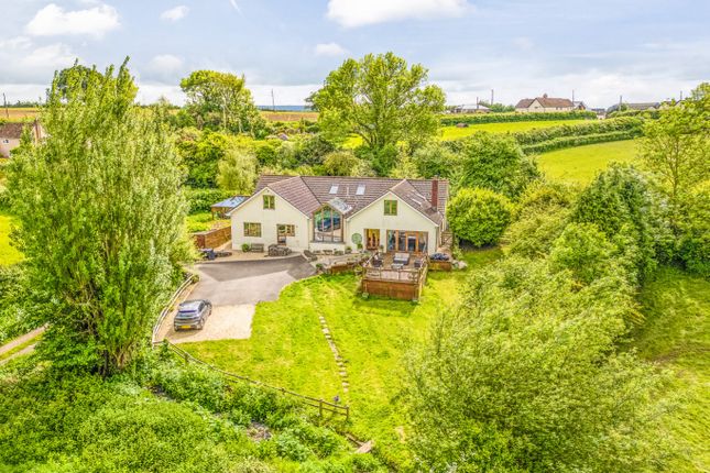 Thumbnail Detached house for sale in Lower Knapp Lane, North Curry, Taunton.