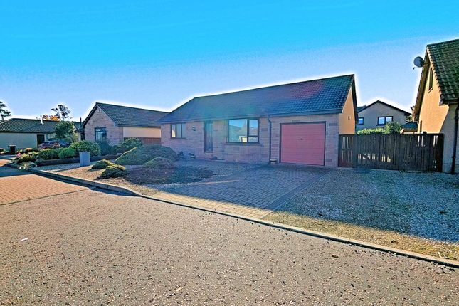 18, Meadow View, 5 photo 2