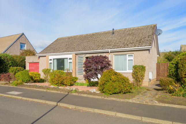 3, Oakdene Place, Scone photo 3
