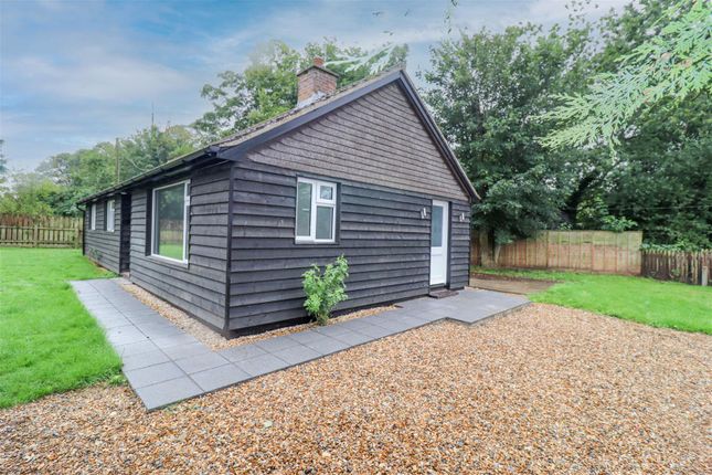 Thumbnail Detached bungalow to rent in Bradley Road, Burrough Green, Newmarket