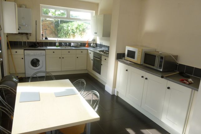 Thumbnail Terraced house to rent in West Avenue, Derby, Derbyshire
