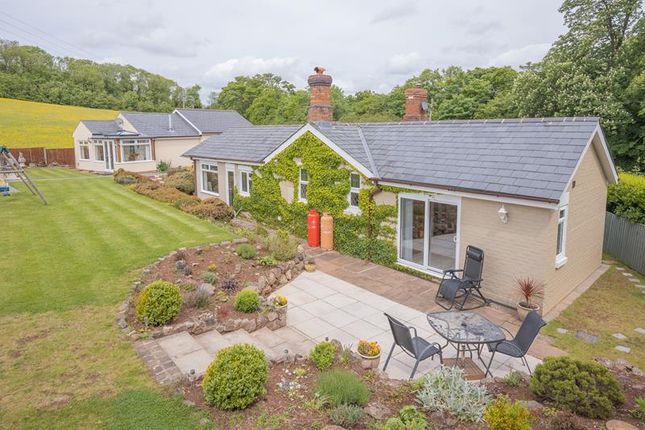 Thumbnail Bungalow for sale in Dripshill Lodge, Rhydd, Hanley Castle, Nr Malvern, Worcestershire