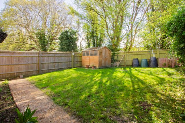 Semi-detached bungalow to rent in Bramley Drive, Cranbrook