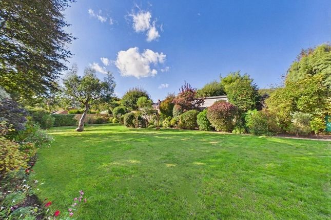 49, Cissbury Gardens, Worthing photo 2