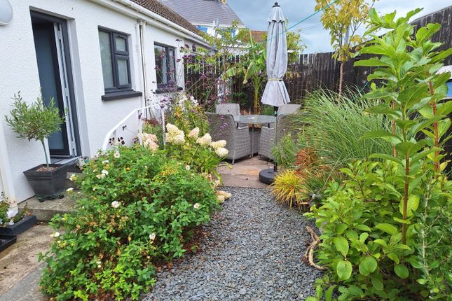 Brynarfor, Llansantffraid, Llanon photo 3