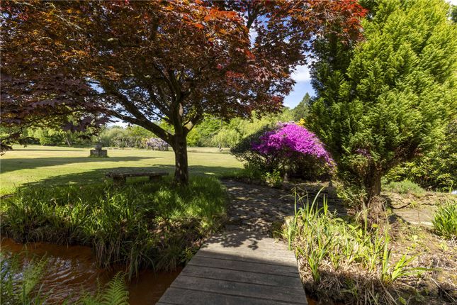 Garden And Grounds