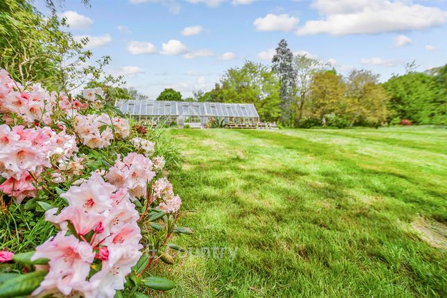 Myrtle Cottage, Swan Lane, Sellindge photo 4