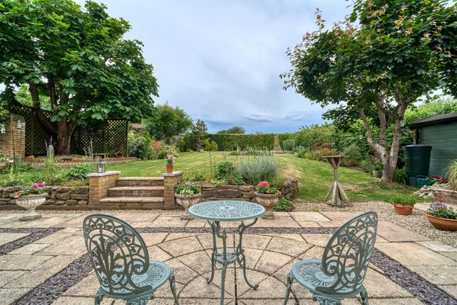 Harvest Cottage, Kings Stag, Sturminster Newton photo 4