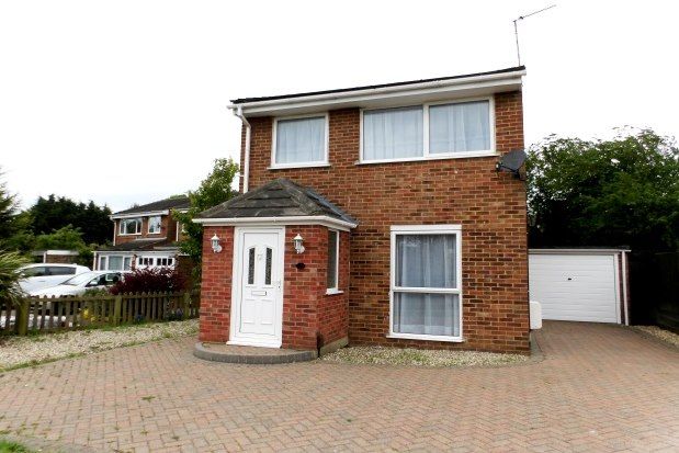 Thumbnail Property to rent in Cornflower Drive, Chelmsford