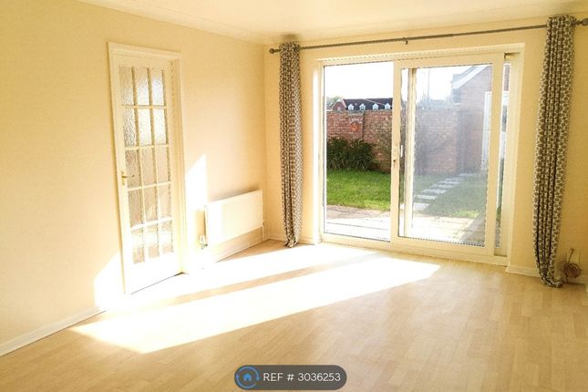 Robin Mews, Wisbech photo 4