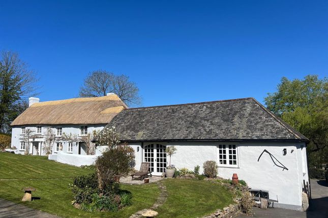 Img-20250408-Wa0003.