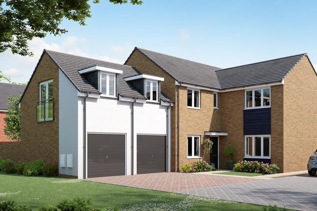 Thumbnail Detached house for sale in "The Oxford" at Green Lane West, Rackheath, Norwich