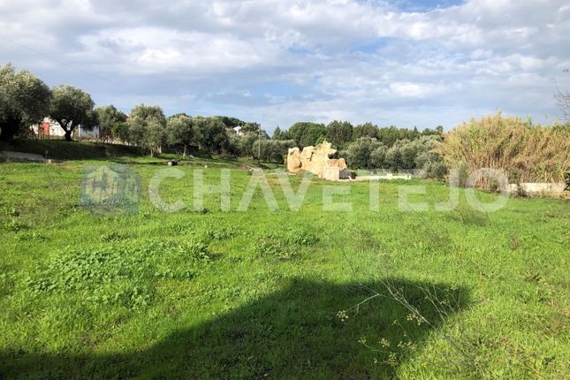 Thumbnail Land for sale in Roda Grande, Asseiceira, Tomar