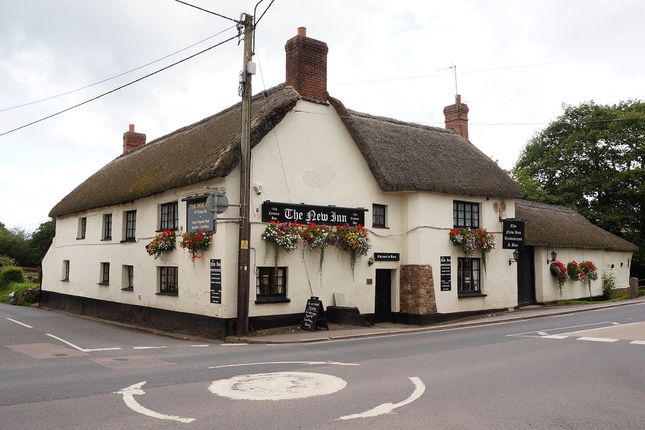 Sampford Courtenay Nr Okehampton Ex20 Pub Bar For Sale