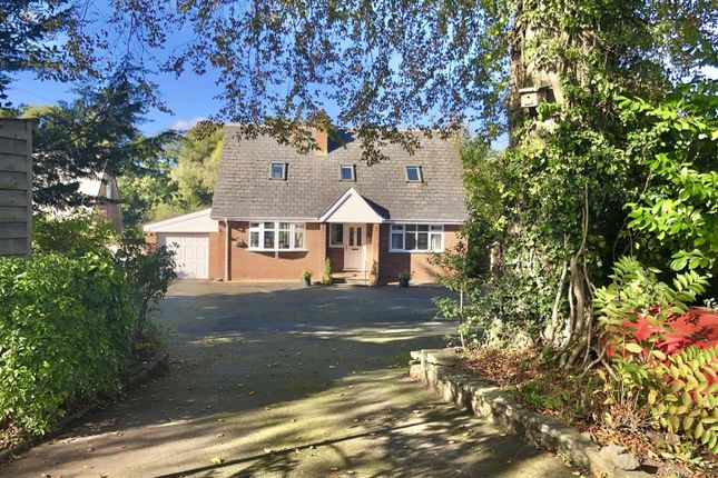 Thumbnail Detached bungalow for sale in Newport Street, Hay-On-Wye, Hereford