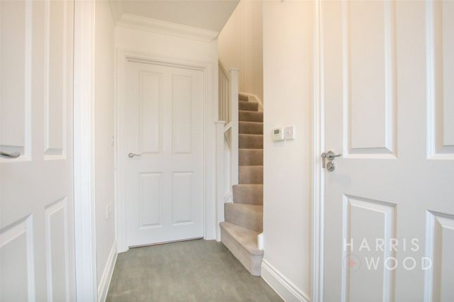 10, Pipistrelle Way, Ipswich photo 4