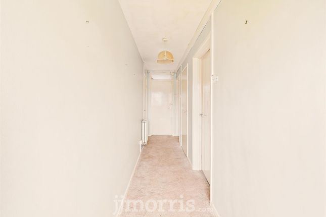 Cam02121G0-Pr0160-Still001.Jpg