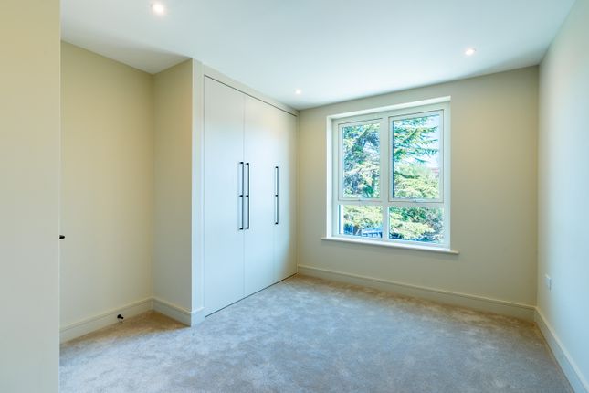 215 - Apt 4, Springfield Village, London photo 4