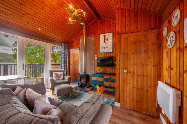 Fyne, 4 Loch Aweside Cabins, Dalavich photo 3