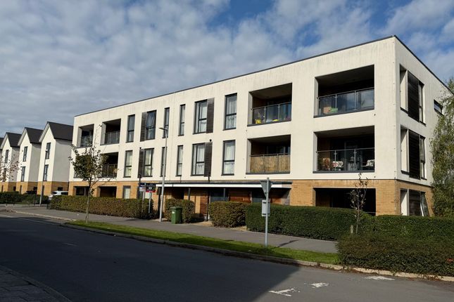 External