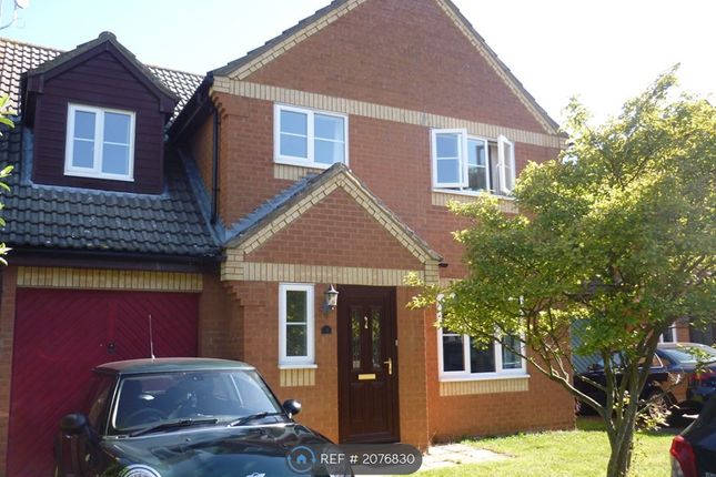 Detached house to rent in Sycamore Close, Cambridge