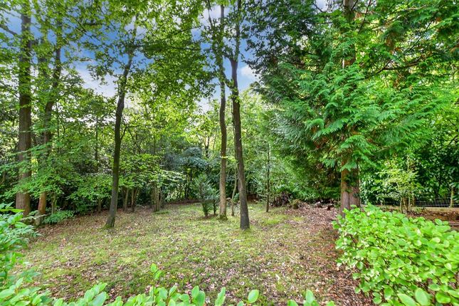 Detached house for sale in Innhams Wood, Crowborough, East Sussex