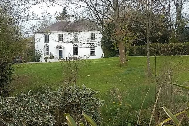 online dating Llandysul