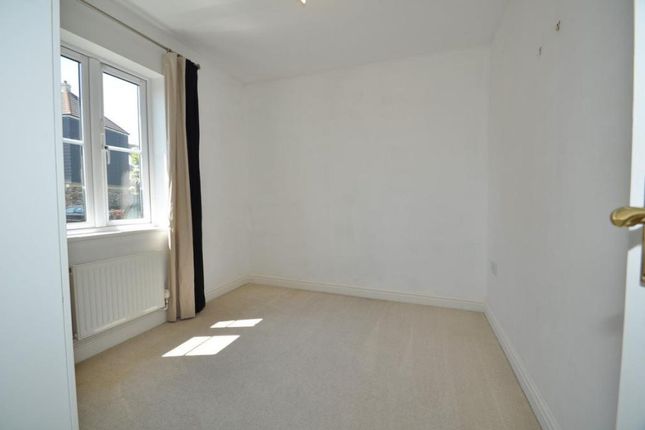 40, Penryn photo 5