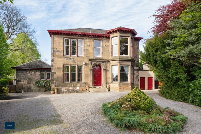 Thumbnail Flat to rent in 40A Main Road, Paisley