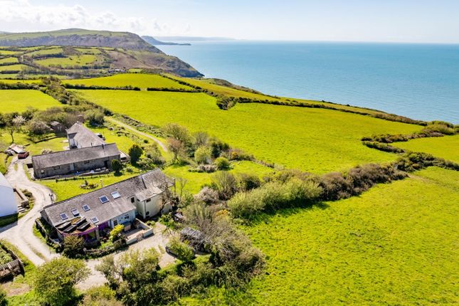 Thumbnail Cottage for sale in Byrlip, New Quay