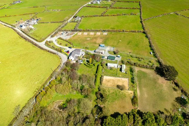 Aerial Shot