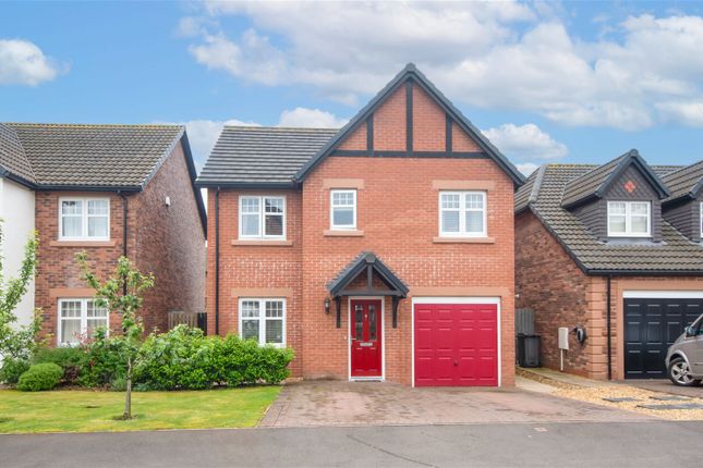 Thumbnail Detached house for sale in Sanderling Drive, Dumfries