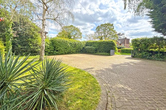 14 Sandy Lane, Richmond photo 4