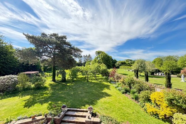Briarside, Gascoigne Lane, Alresford photo 2