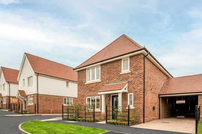 The Willow, Number 39