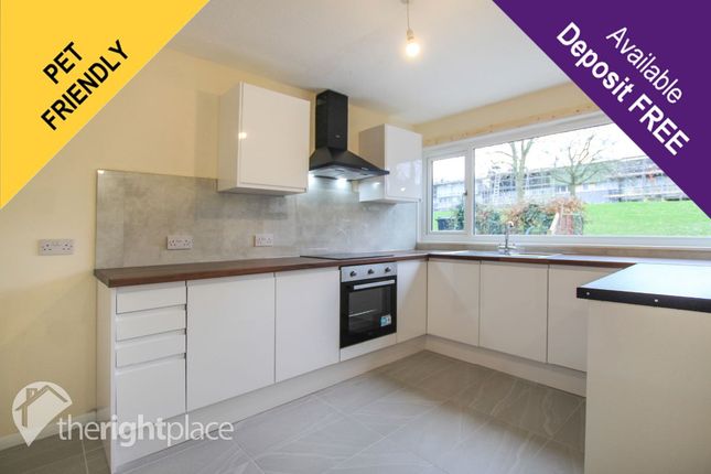 Modern Fitted Kitchen