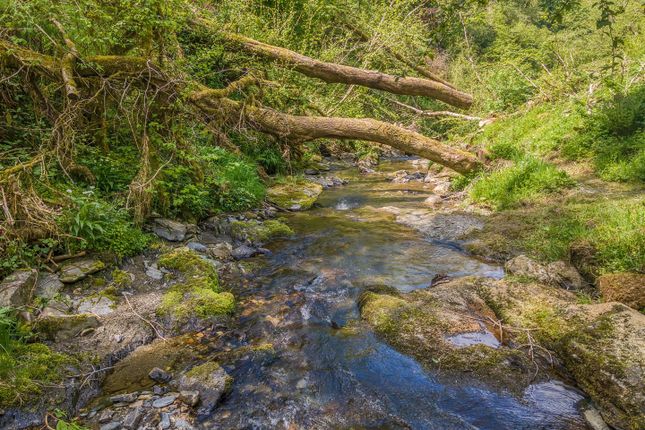 River Boundary At Bottom Of Woodland