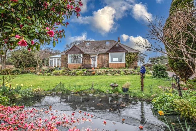 Thumbnail Detached bungalow for sale in Firgrove Road, Cross In Hand, Heathfield