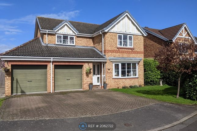 Thumbnail Detached house to rent in Shuttleworth Close, Doncaster