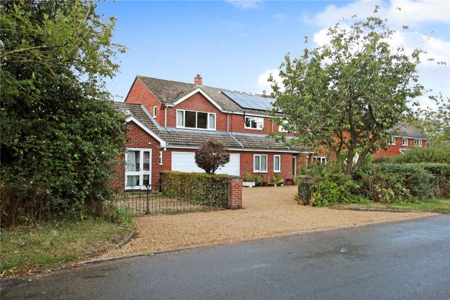 Thumbnail Detached house for sale in High Green, Brooke, Norwich, Norfolk