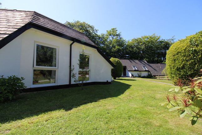 Lodge for sale in Bradworthy, Holsworthy