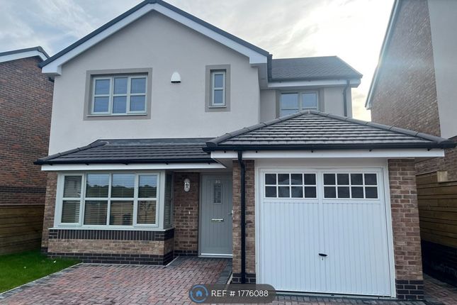 Thumbnail Detached house to rent in Parc Pentywyn, Deganwy, Conwy