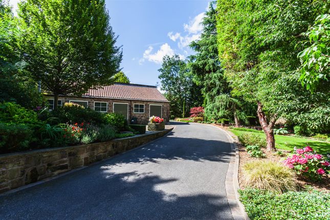 Exterior And Gardens