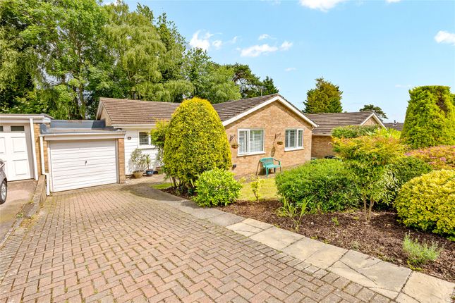 Thumbnail Bungalow for sale in Downswood, Reigate, Surrey