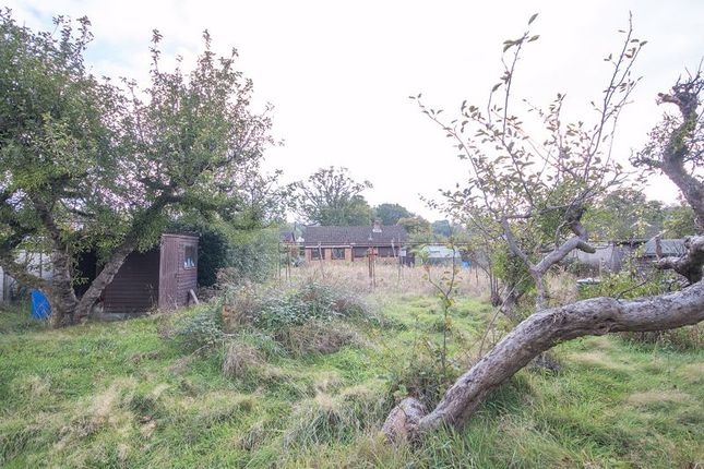 Detached bungalow for sale in Foxhills Close, Ashurst, Southampton