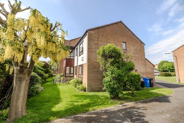 30, Mayfair Gardens, Newcastle Upon Tyne photo 3