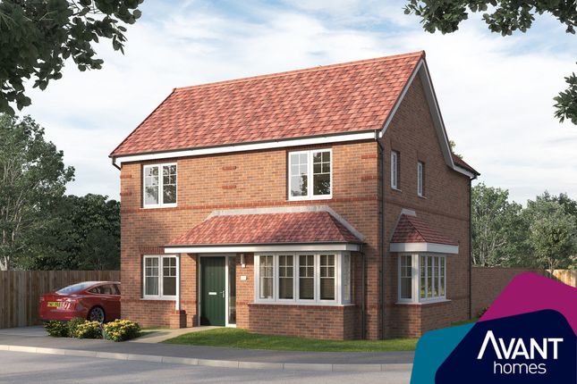 Thumbnail Detached house for sale in "The Nutbrook" at Boundary Walk, Retford