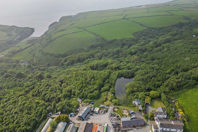Alltygenlli, Moylegrove, Cardigan photo 3